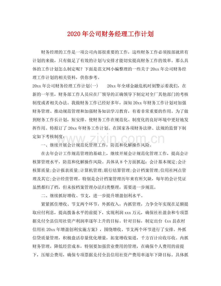 2020年公司财务经理工作计划.docx_第1页