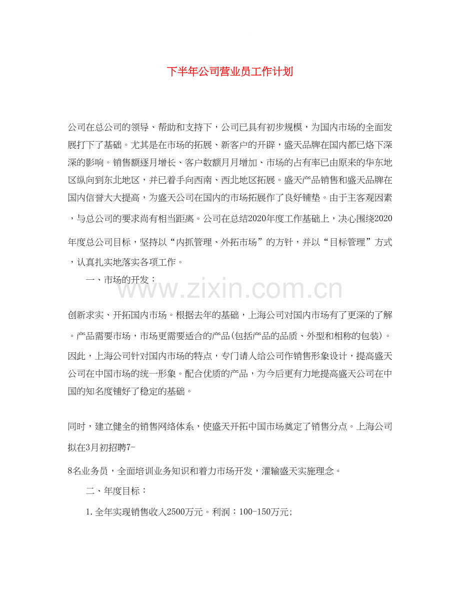 下半年公司营业员工作计划.docx_第1页