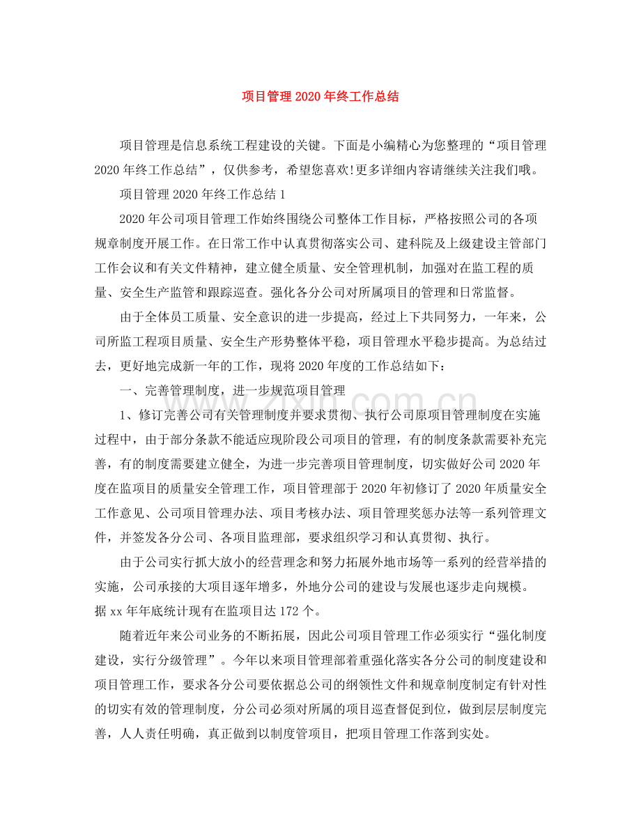 项目管理年终工作总结.docx_第1页