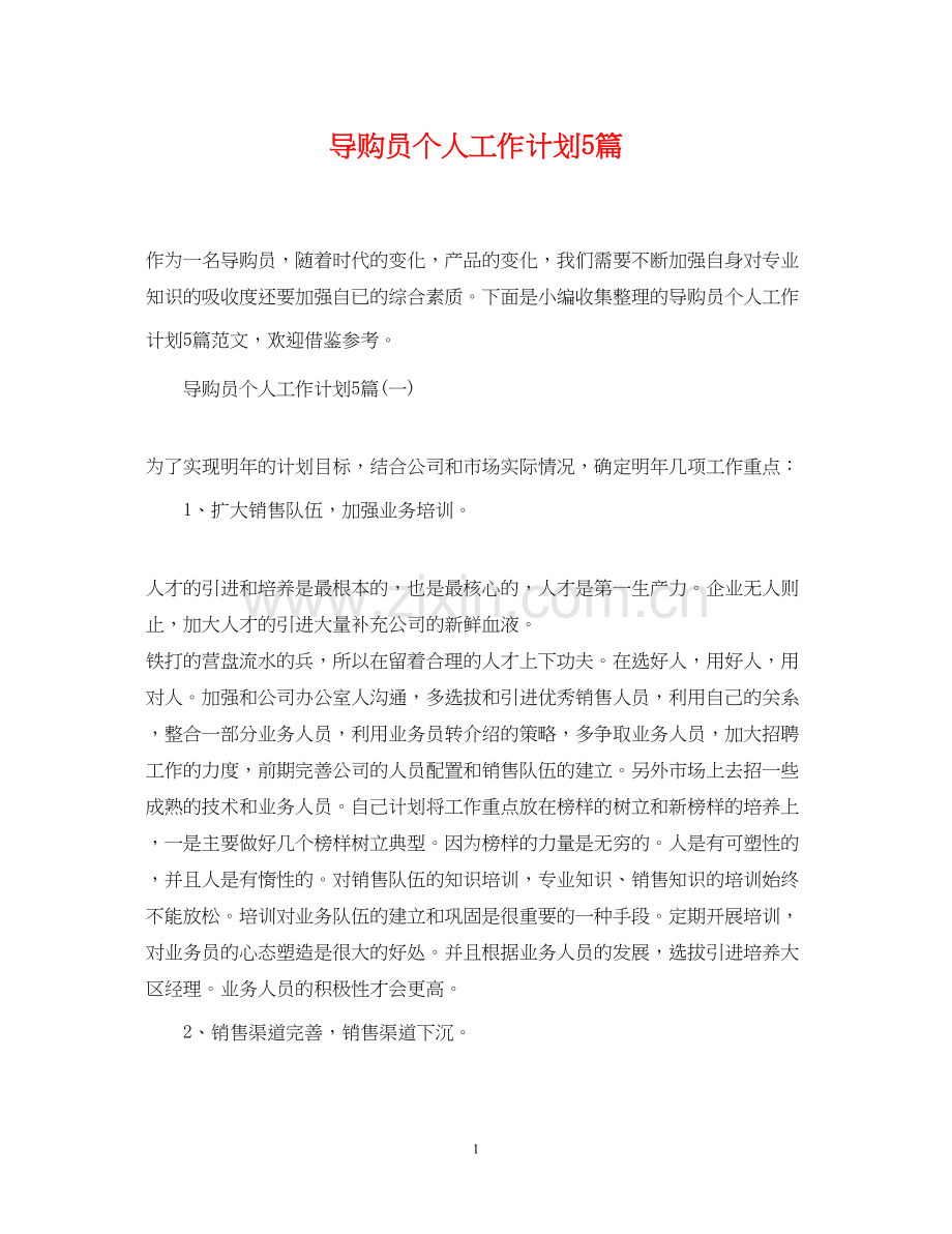 导购员个人工作计划5篇.docx_第1页