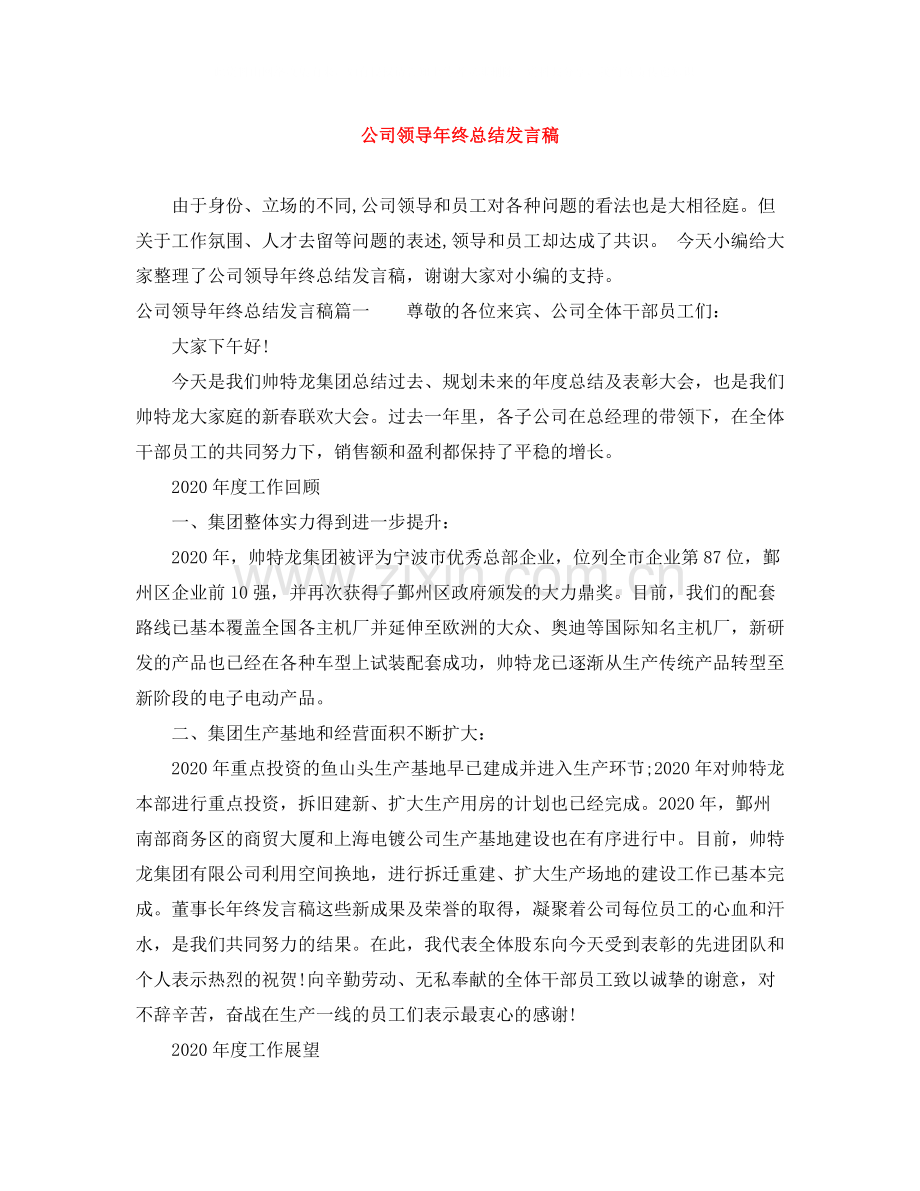 公司领导年终总结发言稿.docx_第1页