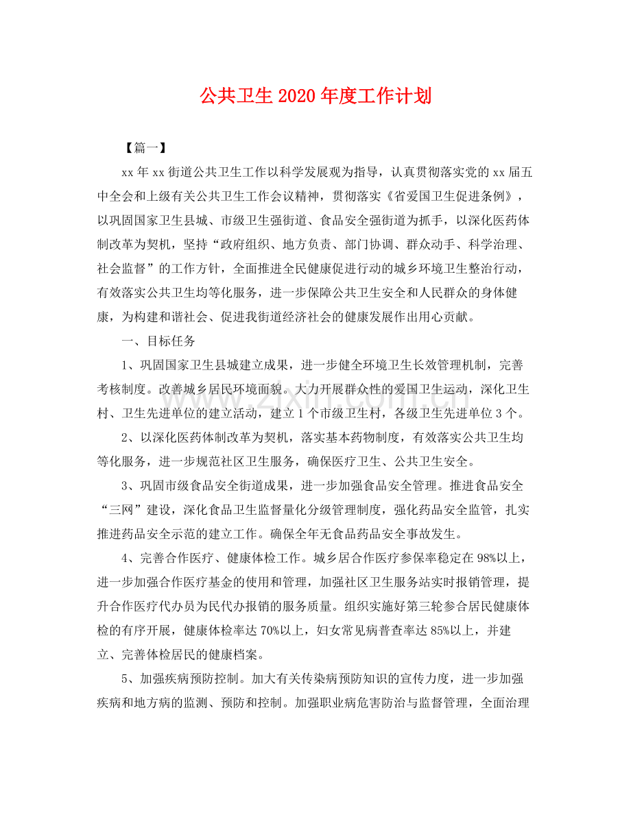 公共卫生年度工作计划 .docx_第1页