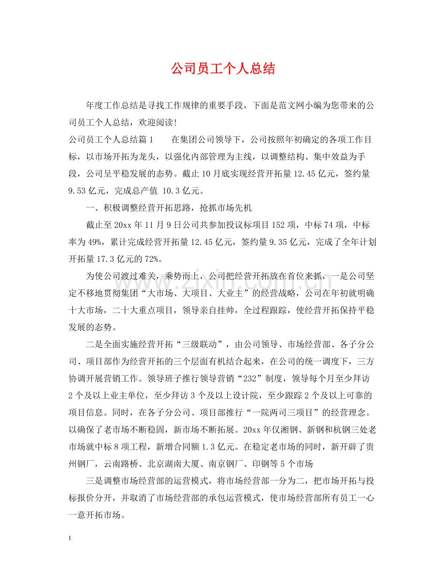 公司员工个人总结2.docx_第1页