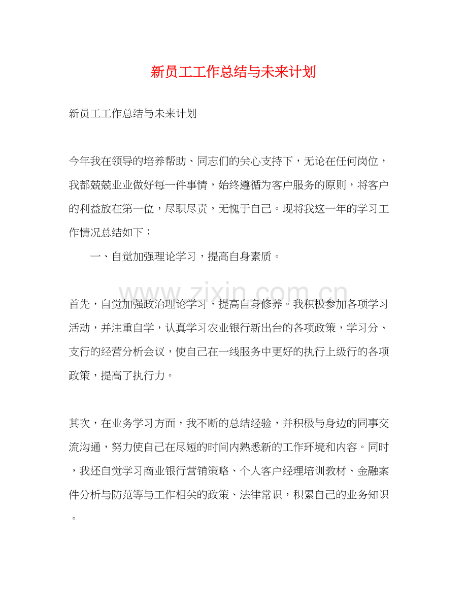 新员工工作总结与未来计划.docx_第1页