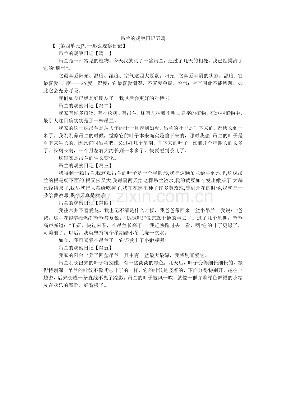 吊兰的观察日记五篇.doc_第1页