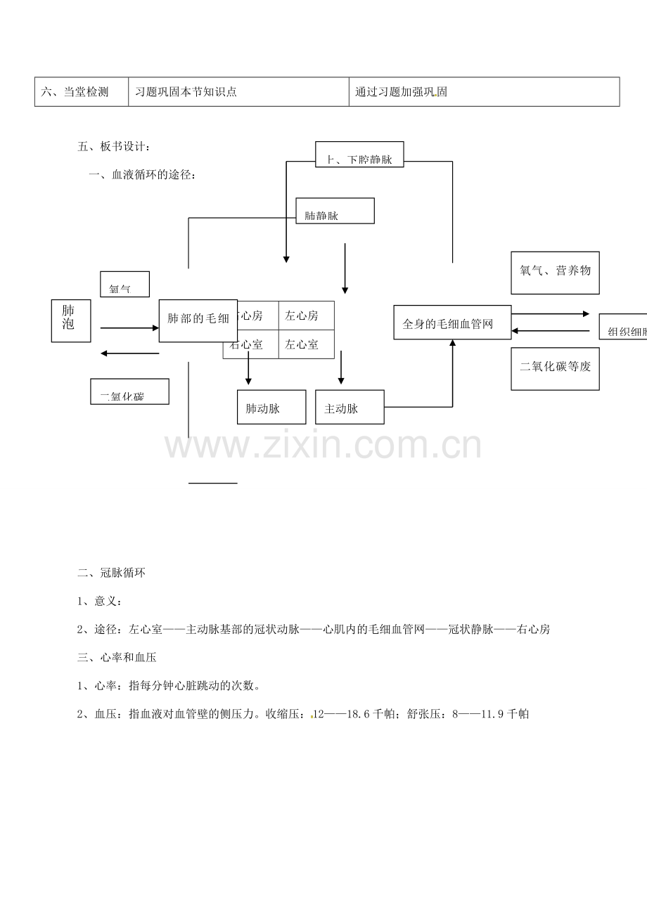 七年级生物下册 第四单元 第四章 第三节 输送血液的泵—心脏（第2课时）教案 （新版）新人教版-（新版）新人教版初中七年级下册生物教案.doc_第3页