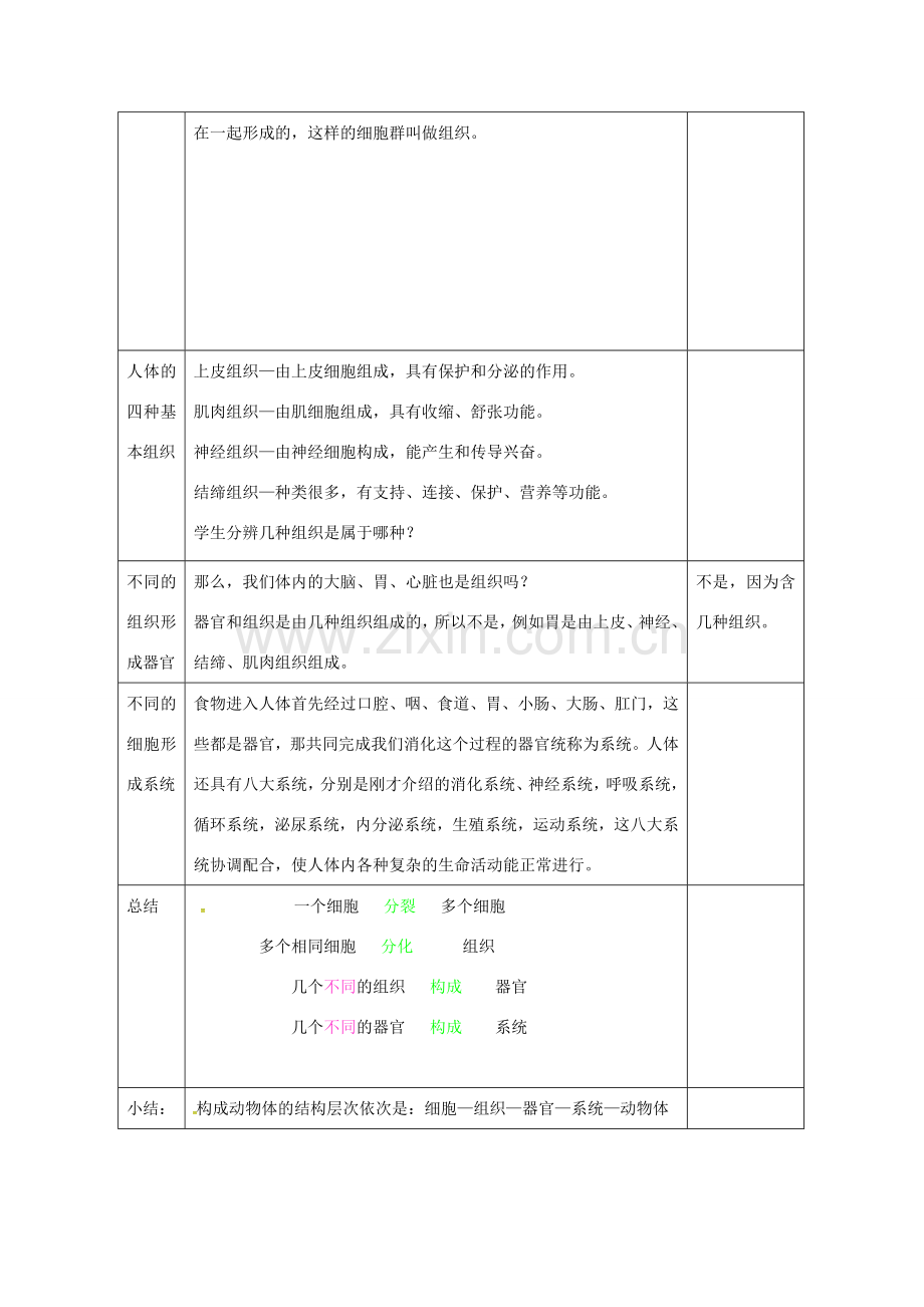 七年级生物上册 2.2.2 动物体的结构层次教案 （新版）新人教版-（新版）新人教版初中七年级上册生物教案.doc_第2页