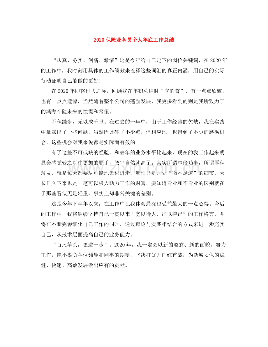 保险业务员个人年底工作总结.docx_第1页