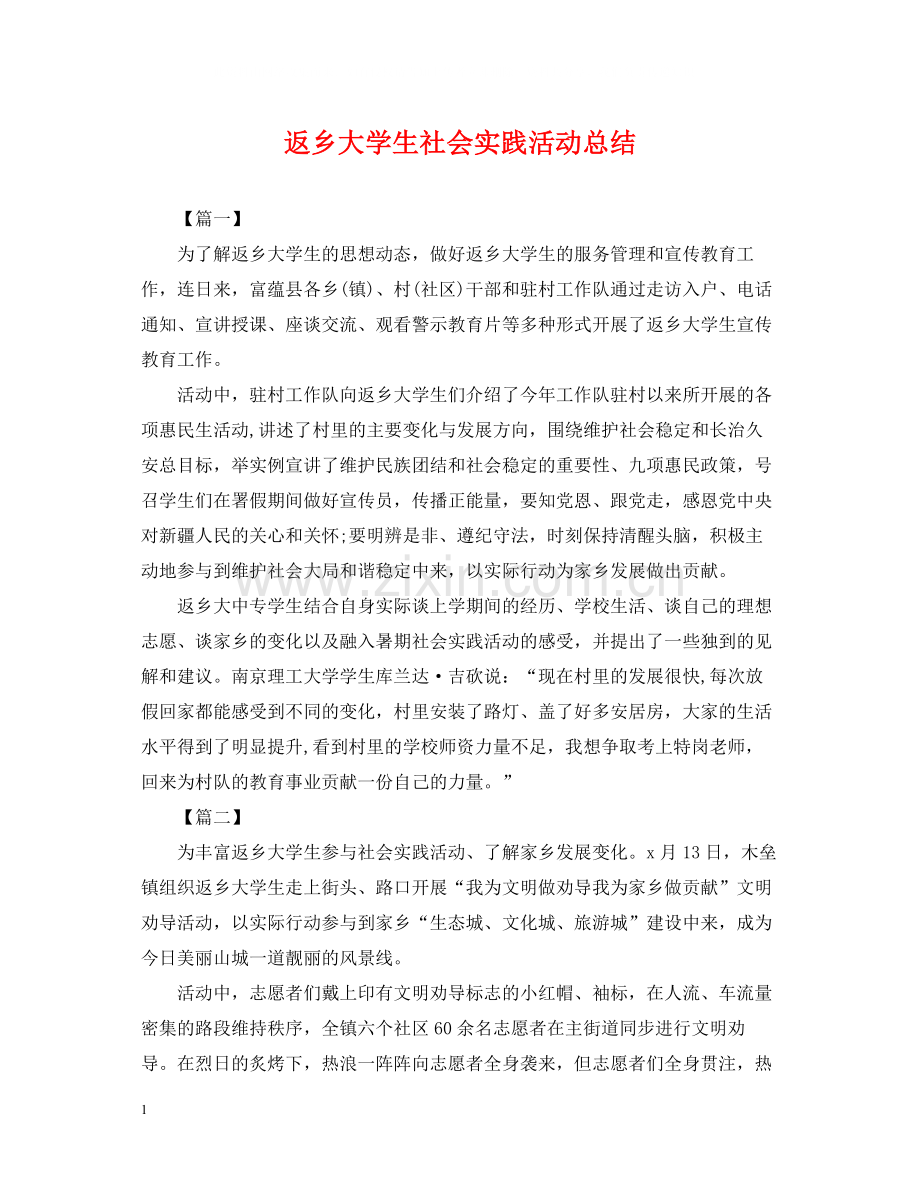 返乡大学生社会实践活动总结.docx_第1页