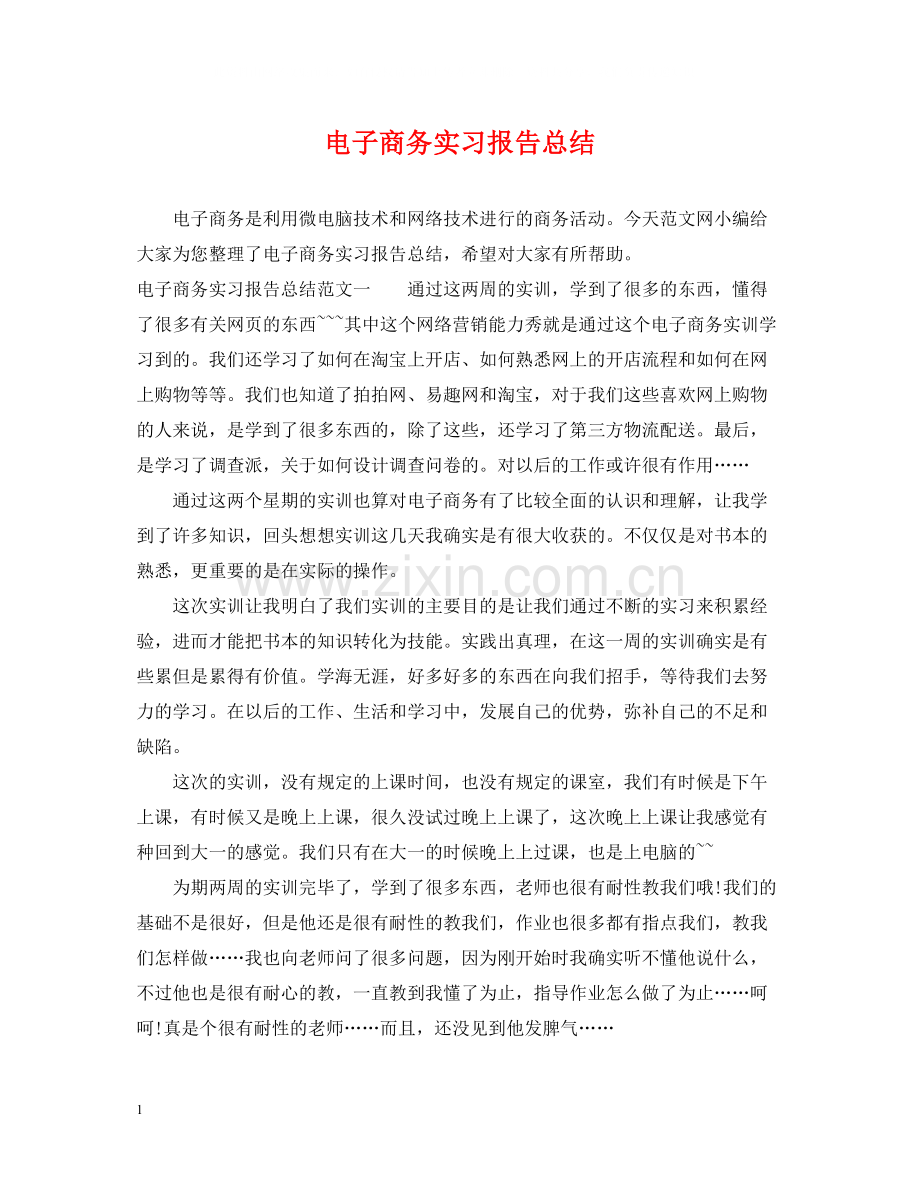 电子商务实习报告总结.docx_第1页