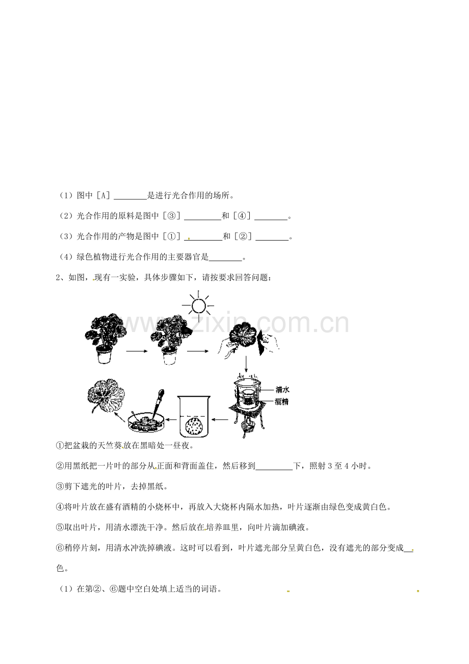 七年级生物上册 4.1 植物的光合作用教案2 （新版）苏科版-（新版）苏科版初中七年级上册生物教案.doc_第3页