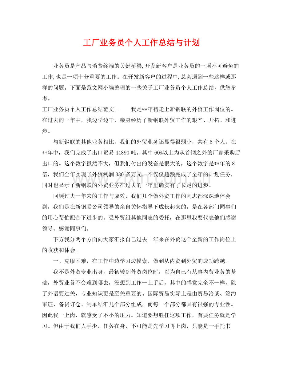 工厂业务员个人工作总结与计划 .docx_第1页