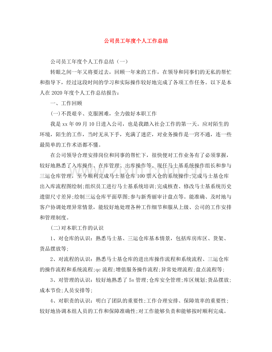 公司员工年度个人工作总结.docx_第1页