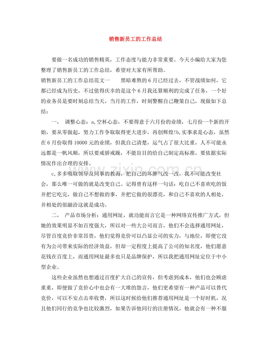 销售新员工的工作总结.docx_第1页