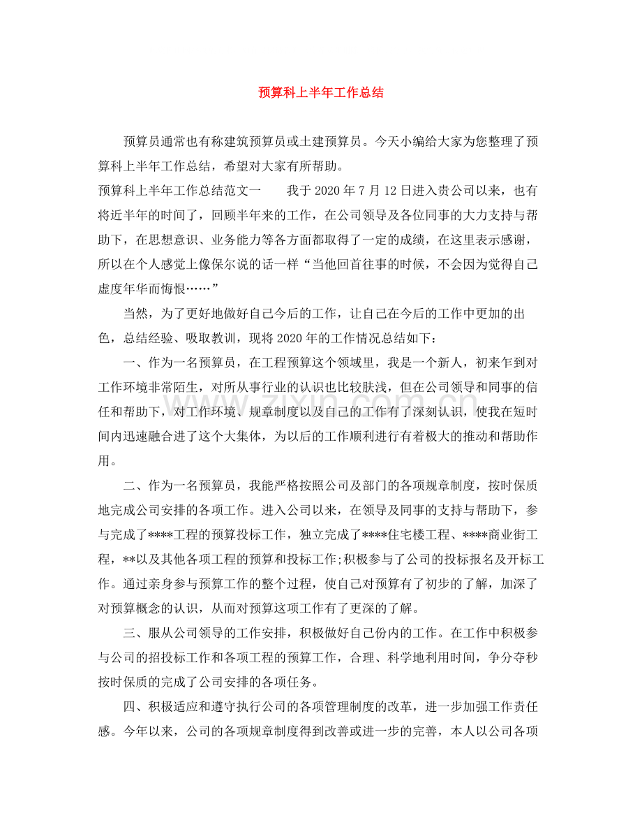 预算科上半年工作总结.docx_第1页