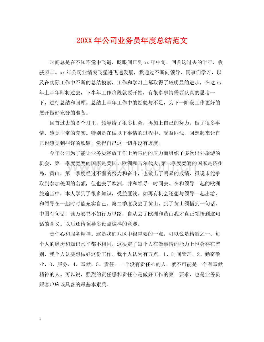 公司业务员年度总结范文2.docx_第1页