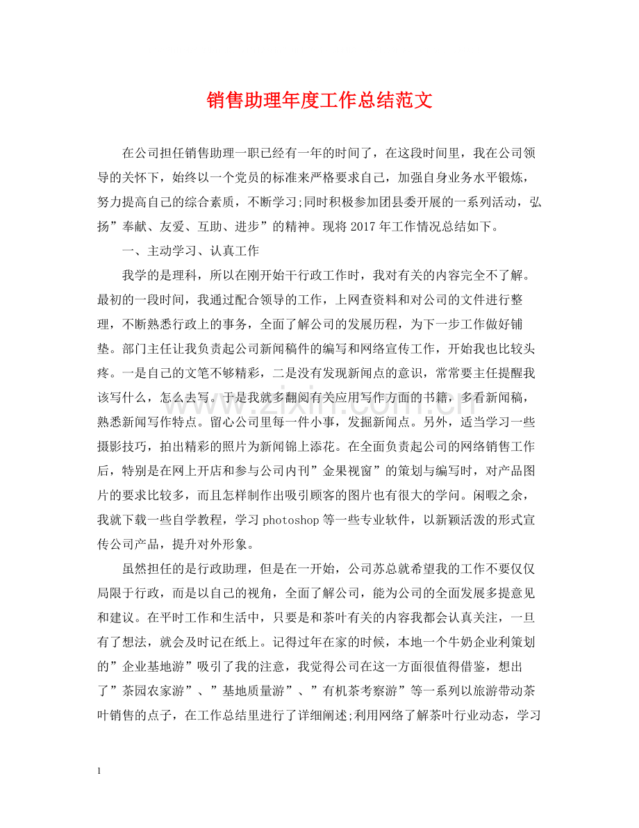 销售助理年度工作总结范文2.docx_第1页