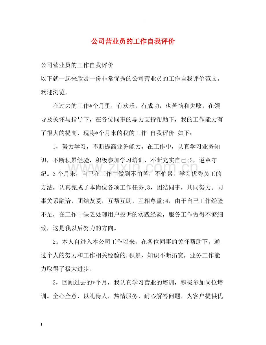 公司营业员的工作自我评价.docx_第1页