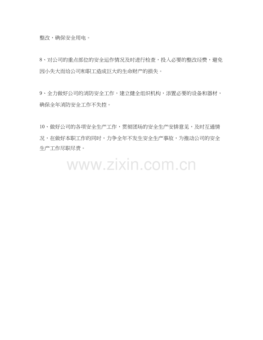 公司年安全生产工作计划报告.docx_第2页