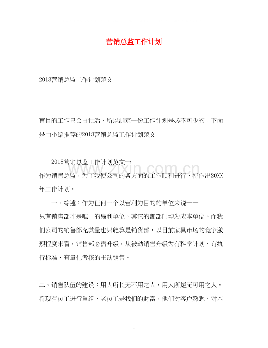 营销总监工作计划.docx_第1页