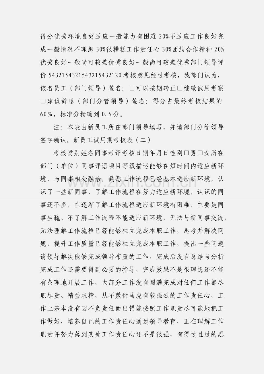 新员工试用期考核表.docx_第2页