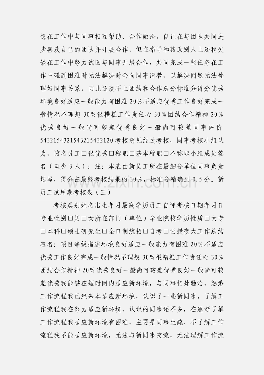 新员工试用期考核表.docx_第3页