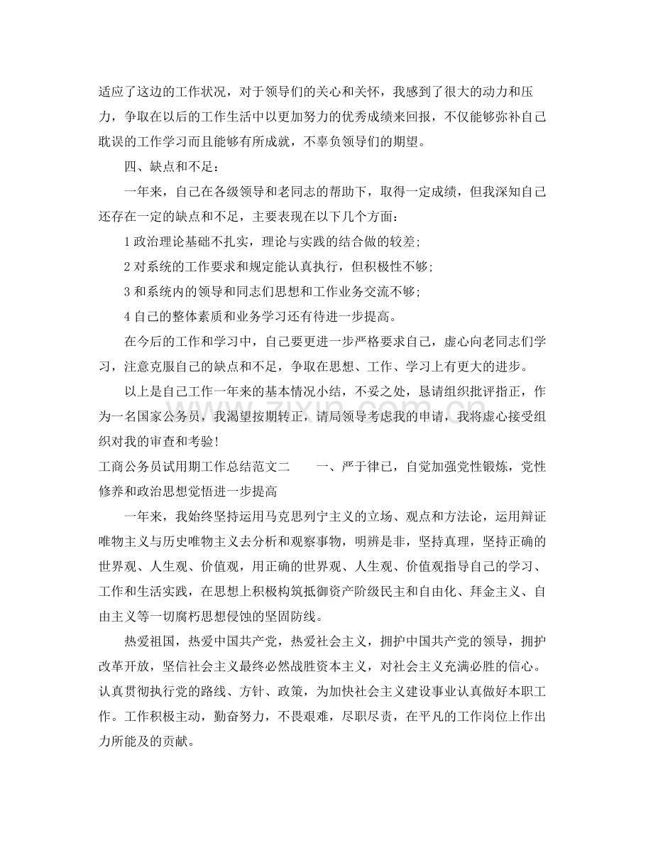 工商公务员试用期工作总结.docx_第2页