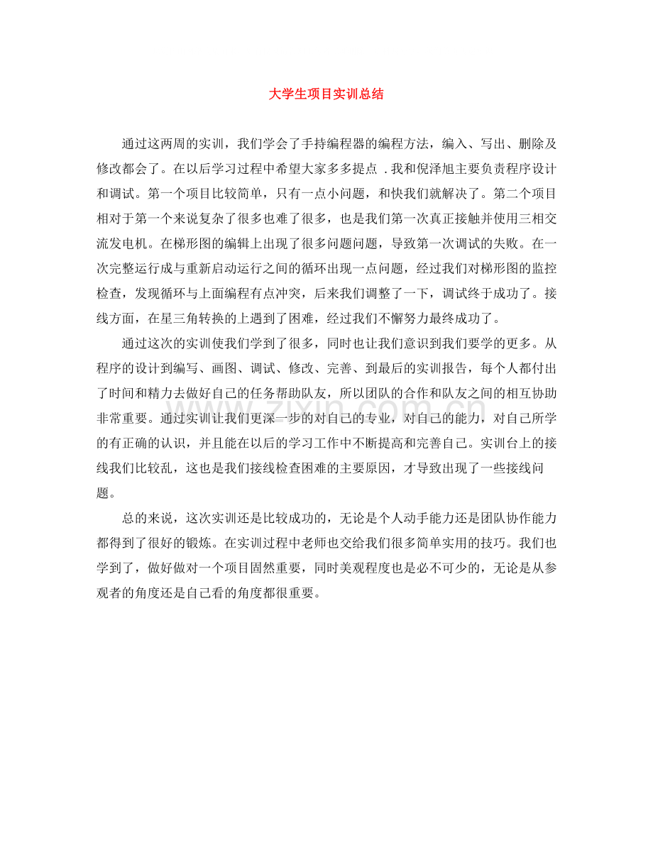 大学生项目实训总结.docx_第1页