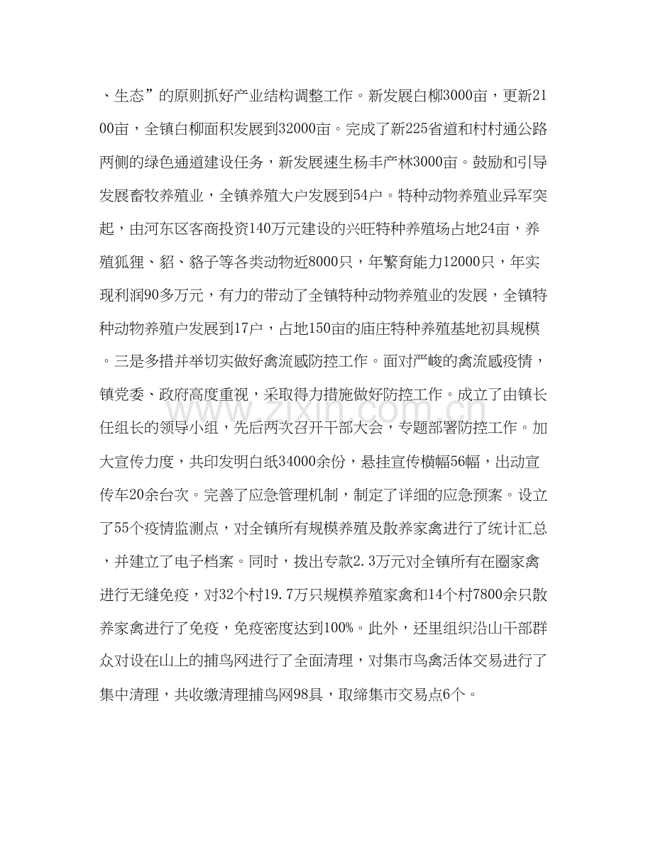 乡镇年工作总结和年工作计划.docx_第3页