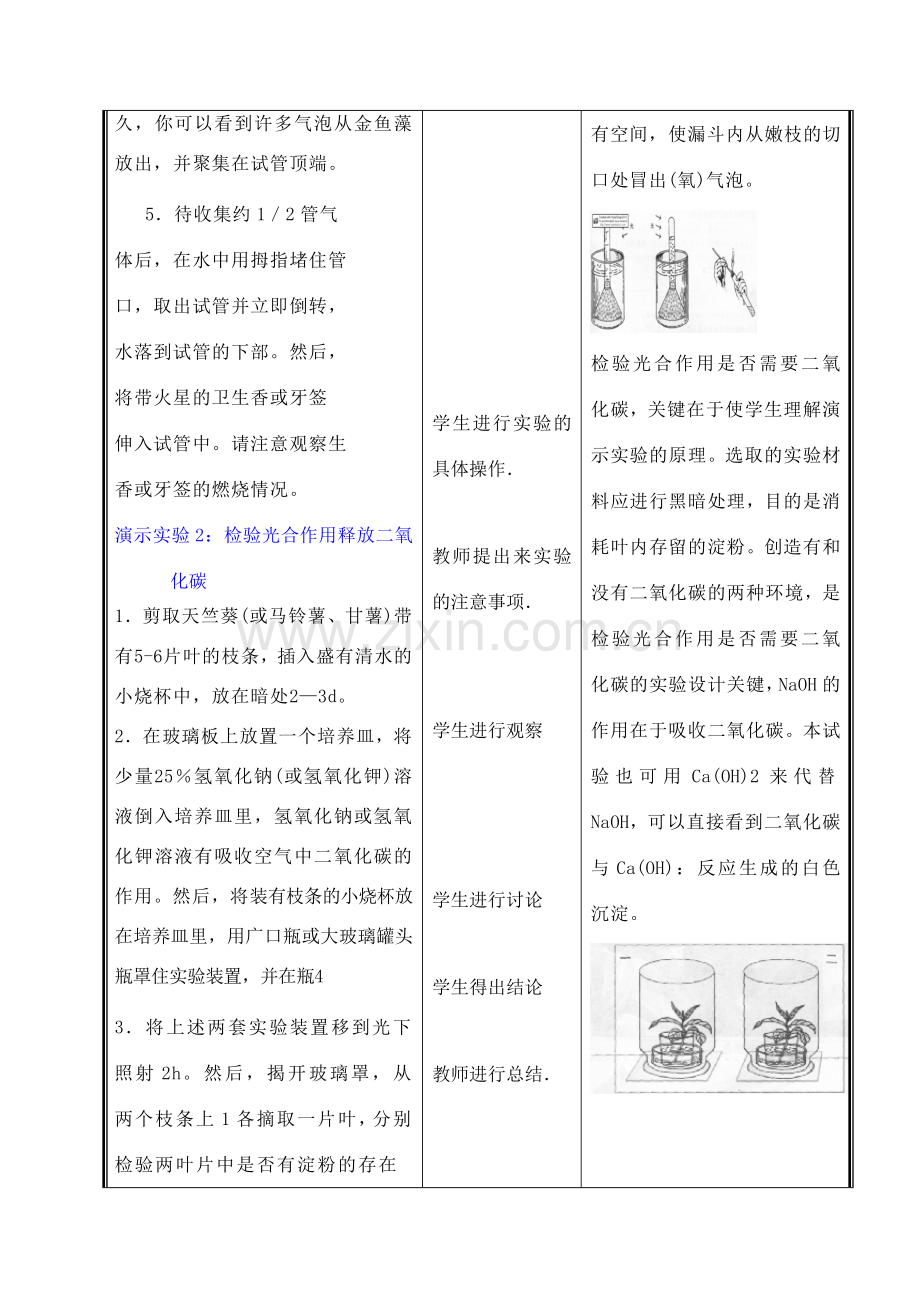 七年级生物上册 3.5.1光合作用教案(三） 北师大版.doc_第3页