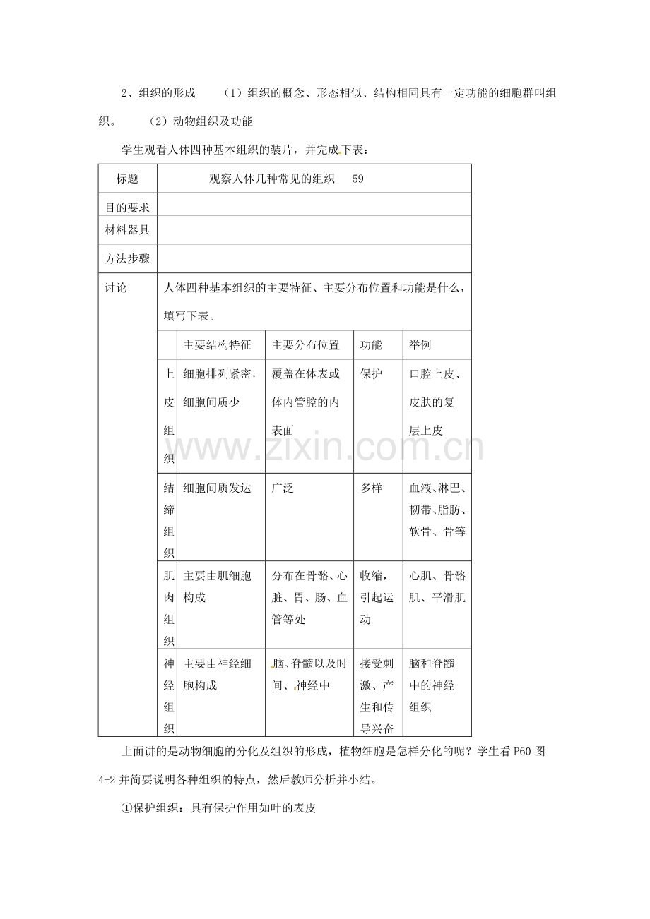 七年级生物上册 4.1 细胞分化形成组织教案1 北师大版.doc_第2页