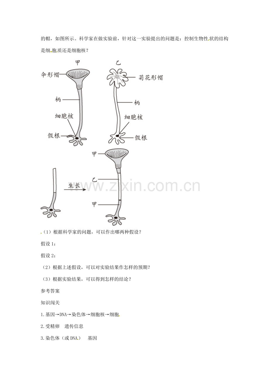 七年级生物上册 第二节 细胞核是遗传信息库解析与测评教案 人教版.doc_第3页