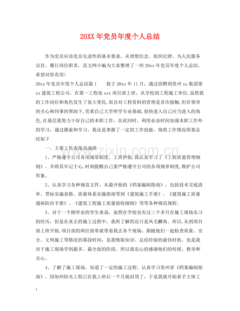 党员年度个人总结2.docx_第1页