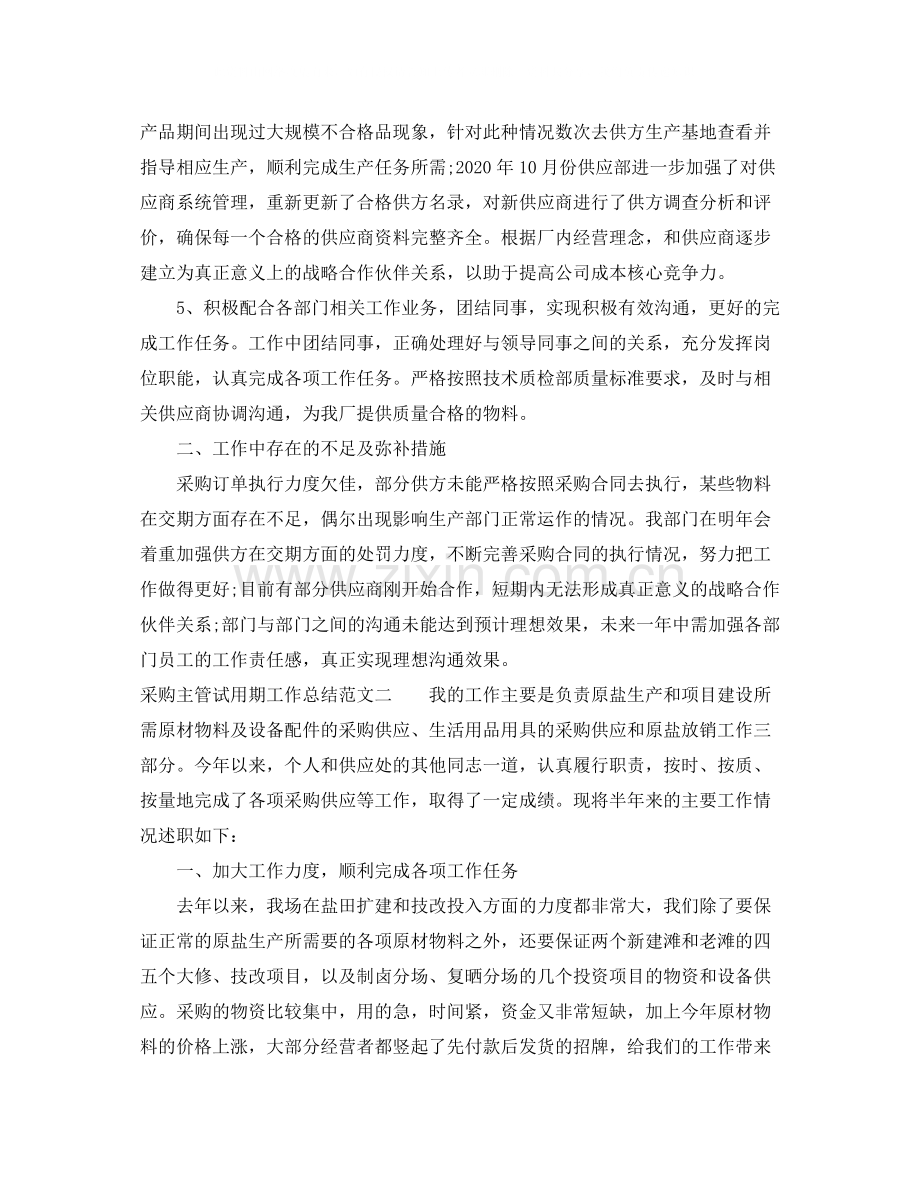 采购主管试用期工作总结范文.docx_第2页