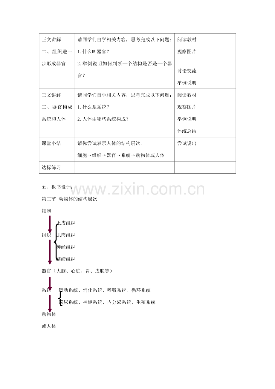 七年级生物上册 第二单元 第二章 第二节《动物体的结构层次》教案 （新版）新人教版-（新版）新人教版初中七年级上册生物教案.doc_第2页