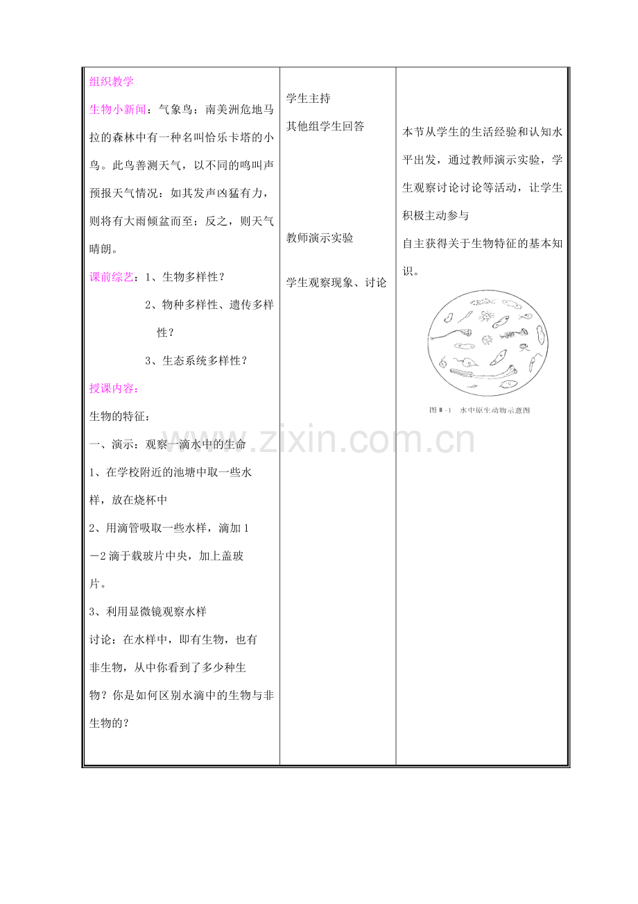 七年级生物上册《第一节形形色色的生物》教案2 北师大版.doc_第2页