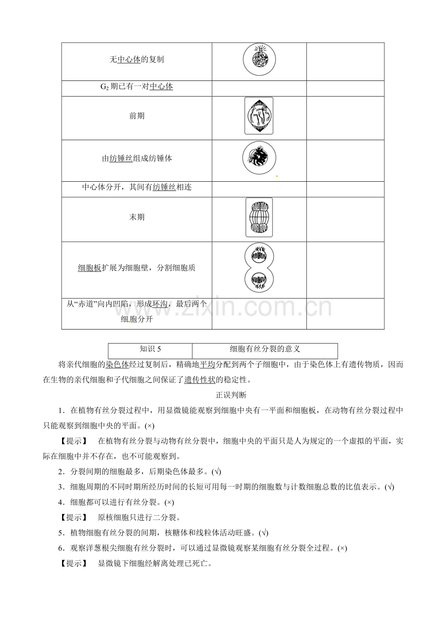 《第一节-细胞的增殖》导学案.doc_第3页