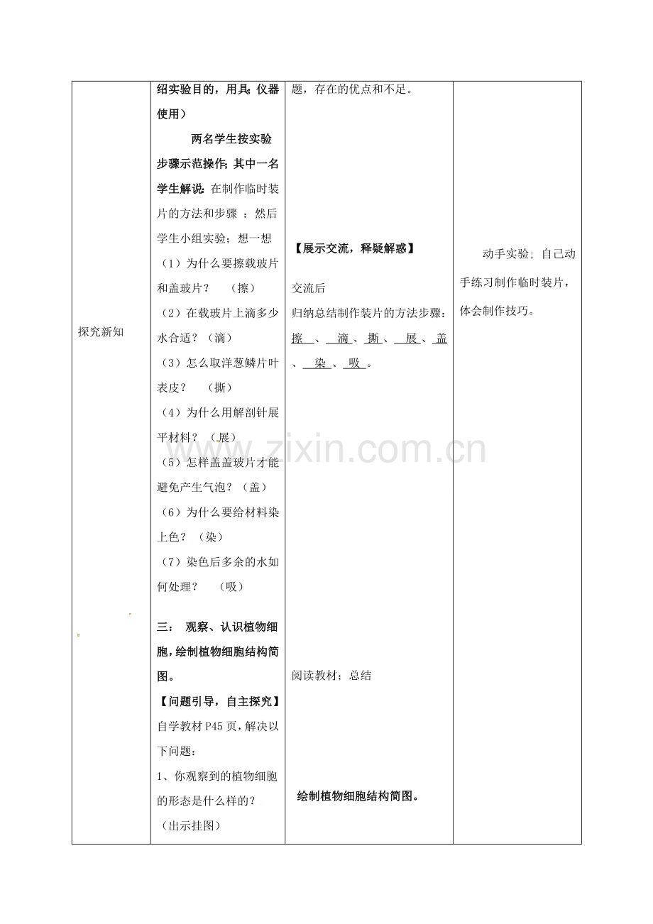 七年级生物上册 第二单元 第一章 第二节 植物细胞教案 新人教版-新人教版初中七年级上册生物教案.doc_第3页