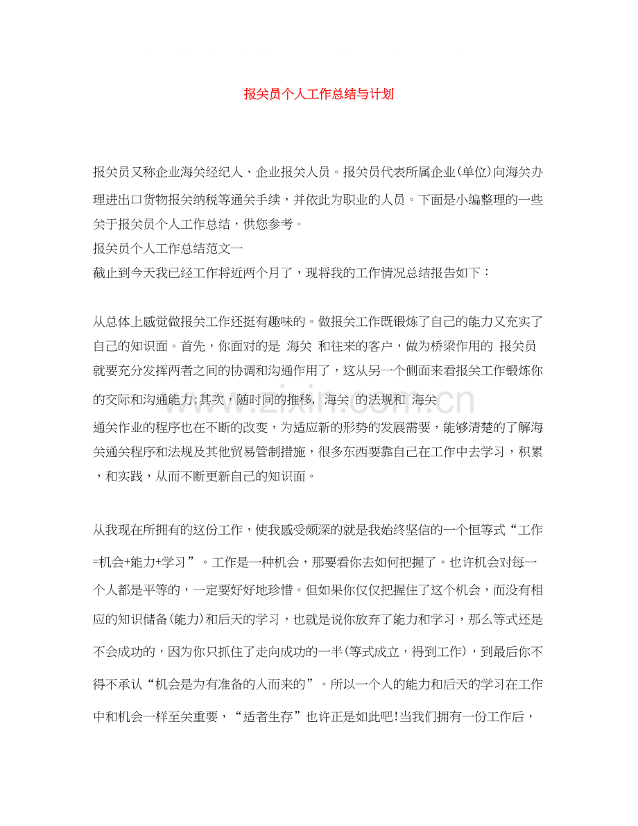 报关员个人工作总结与计划.docx_第1页