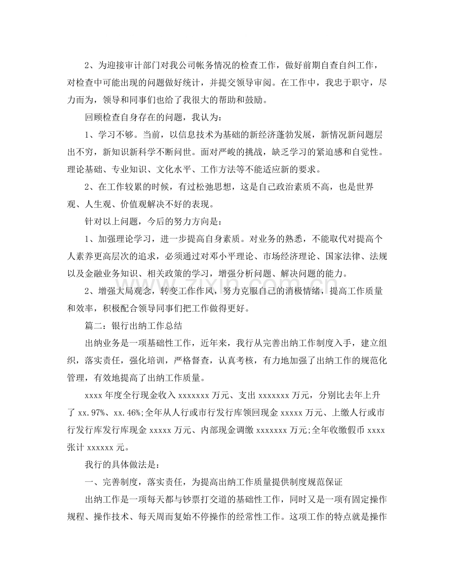 出纳年终个人工作总结【六篇】.docx_第2页