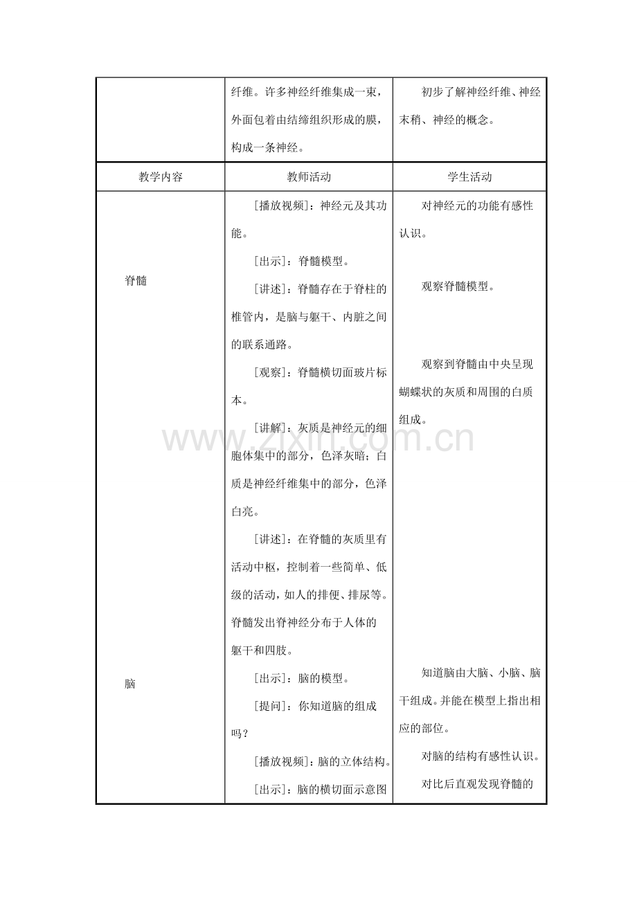 七年级生物下册 第4单元 生物圈中的人 第二节 人体的神经调节名师教案2 苏教版.doc_第3页