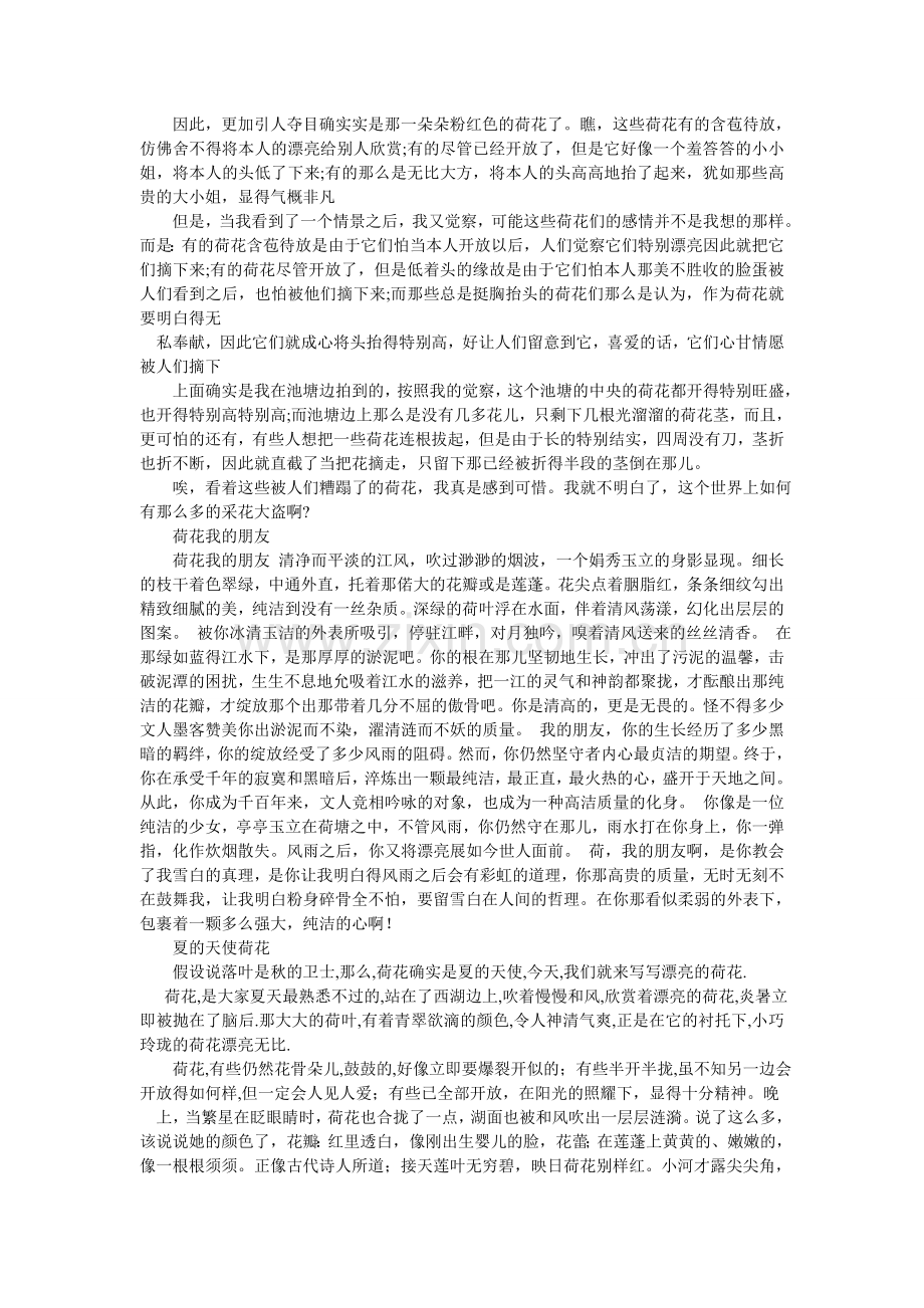 关于马的作文600字.doc_第3页