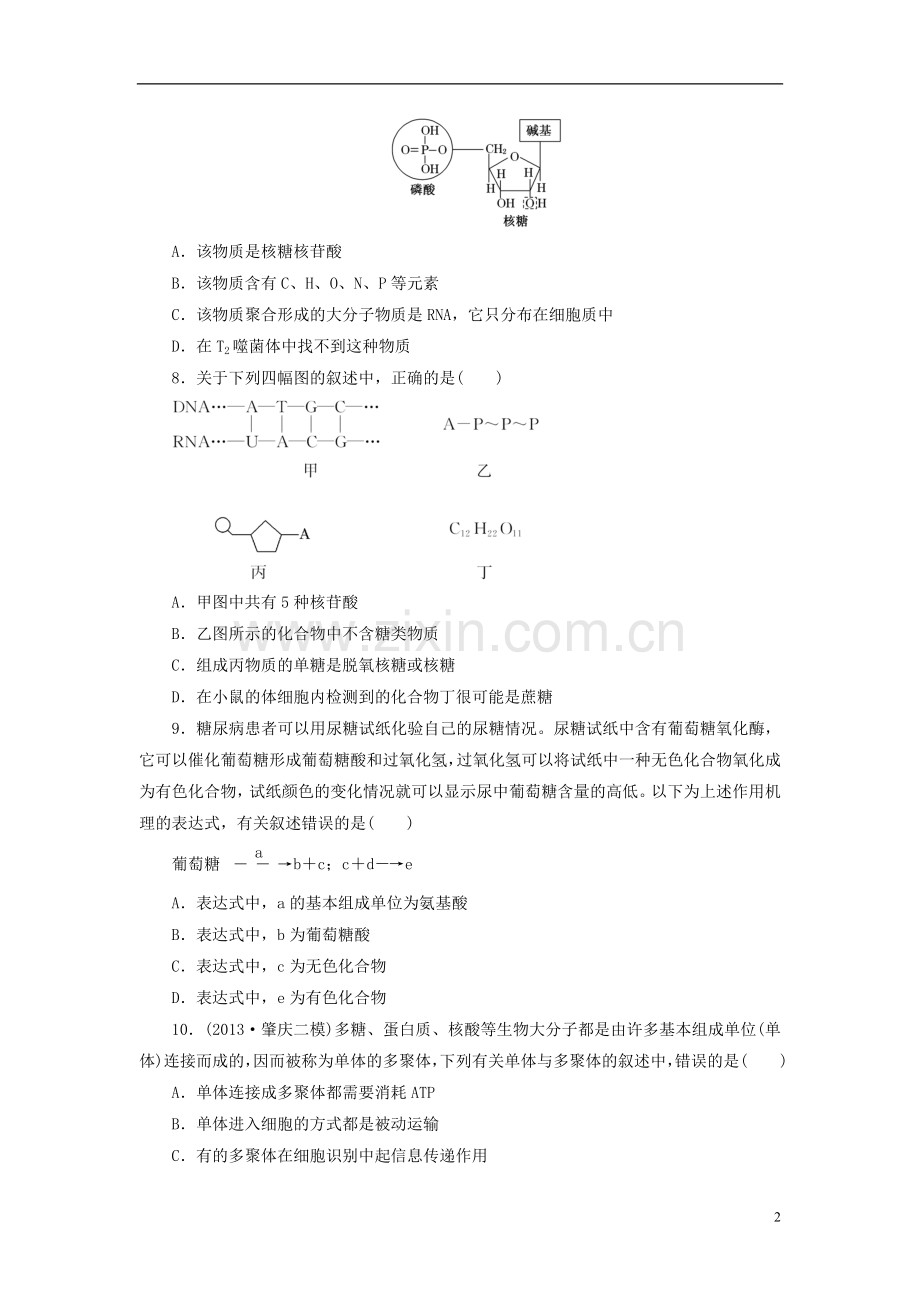 【优化设计】2014年高考生物一轮复习-遗传信息的携带者-核酸-细胞中的糖类和脂质限时集训(含解析)新人教.doc_第2页