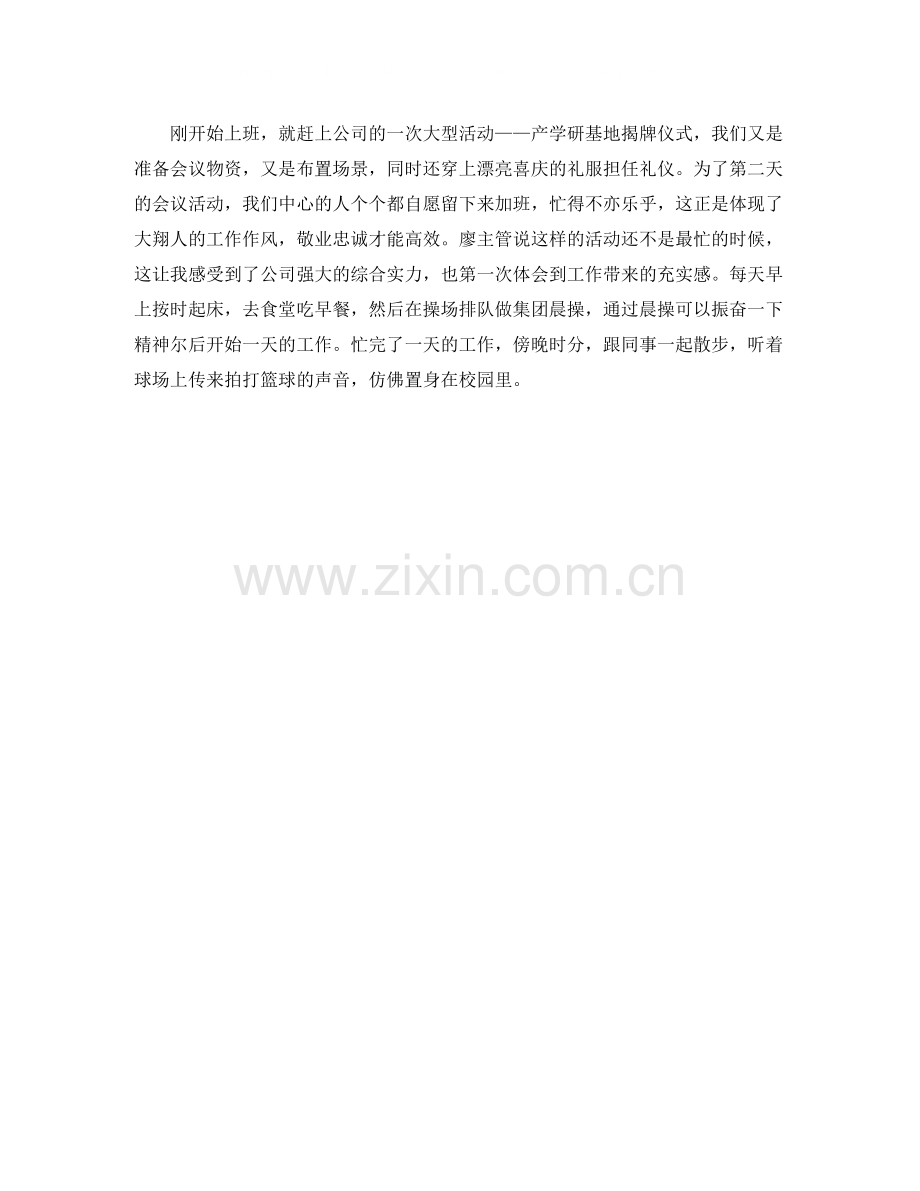 公司个人试用期转正工作总结开头.docx_第2页