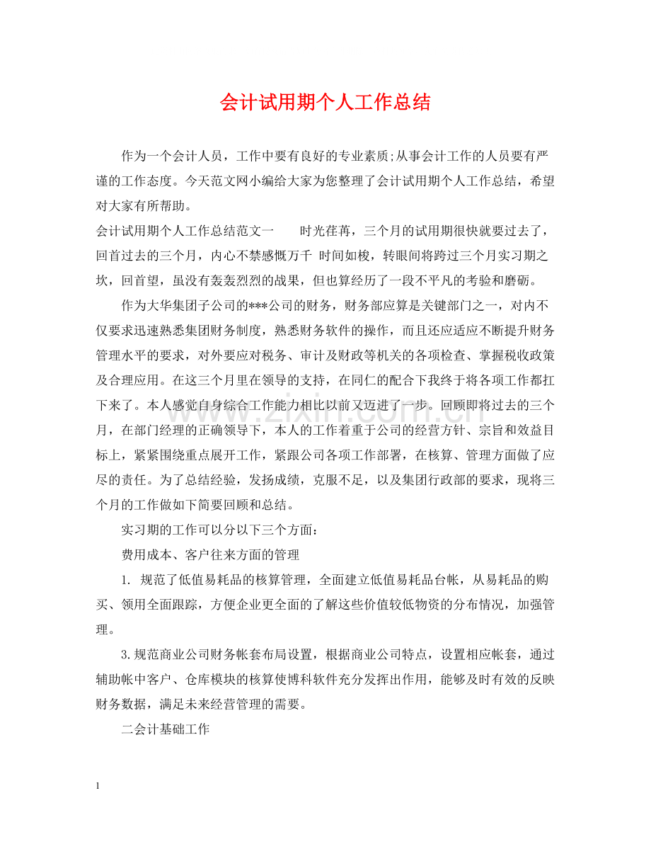 会计试用期个人工作总结.docx_第1页