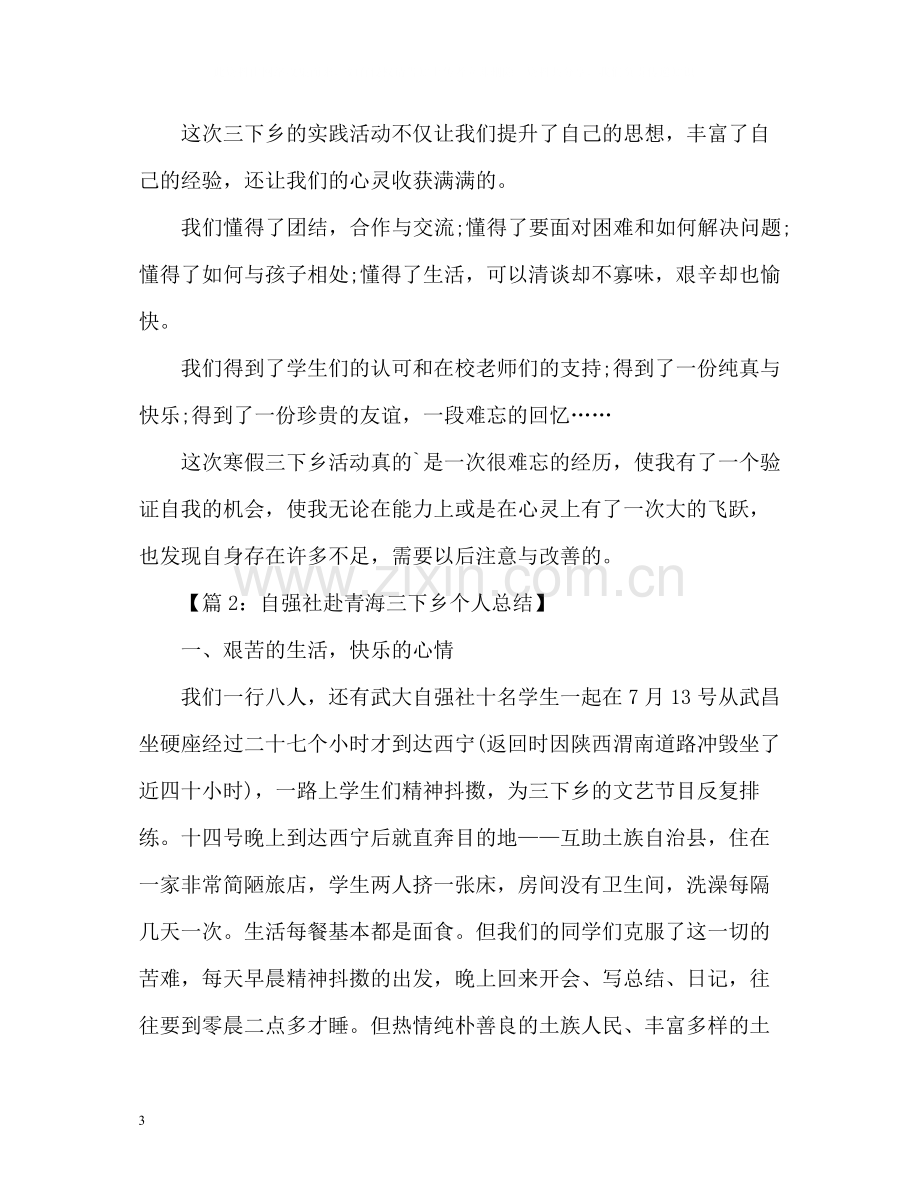 寒假三下乡个人总结.docx_第3页