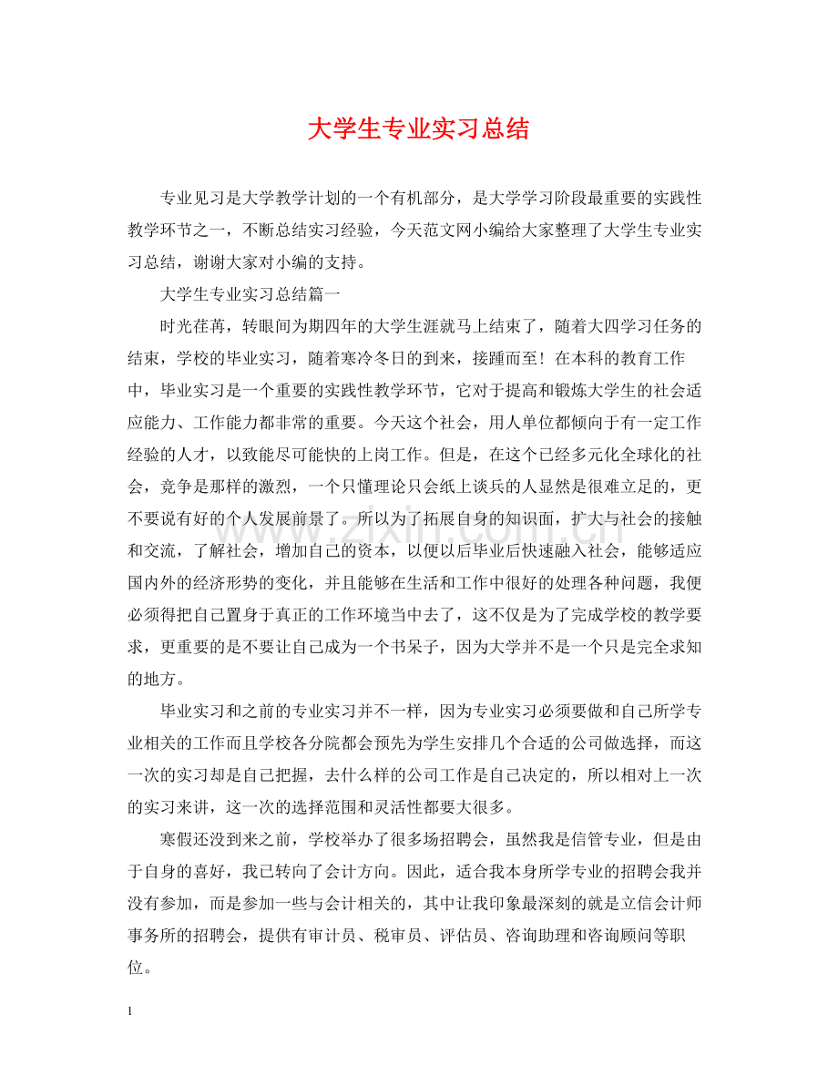 大学生专业实习总结.docx_第1页