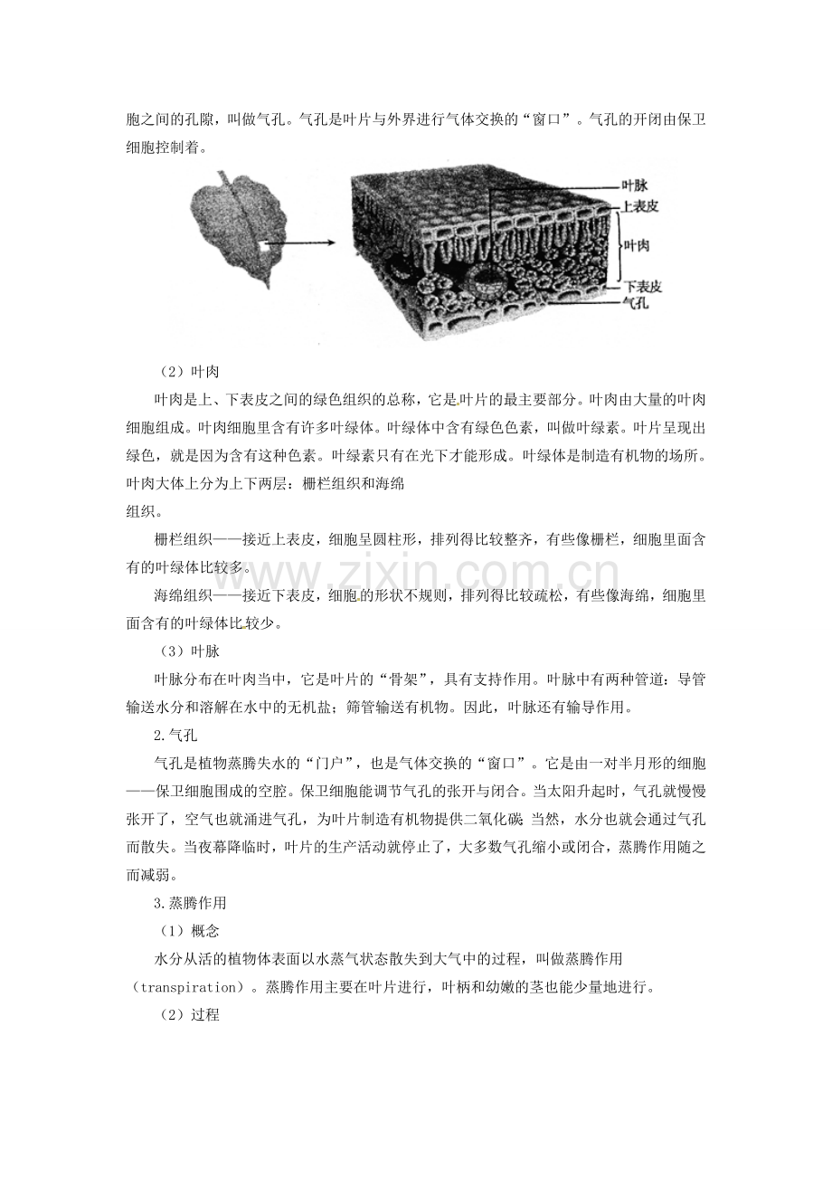 七年级生物上册 3.3 绿色植物与生物圈的水循环备课资料 （新版）新人教版-（新版）新人教版初中七年级上册生物教案.doc_第2页