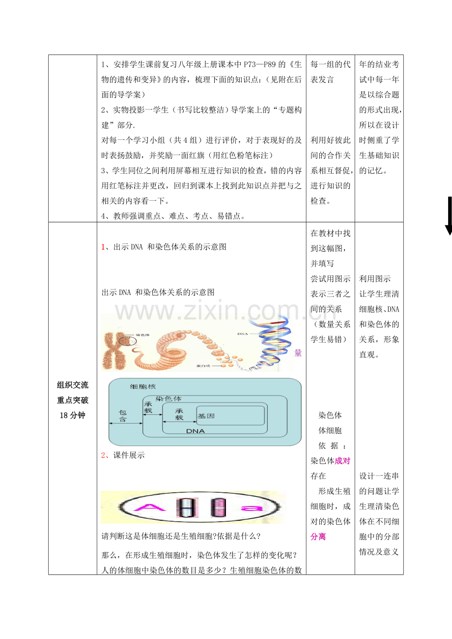 -八年级生物上册 第4单元 第4章 专题7 生物的遗传和变异复习教案 济南版-济南版初中八年级上册生物教案.doc_第3页