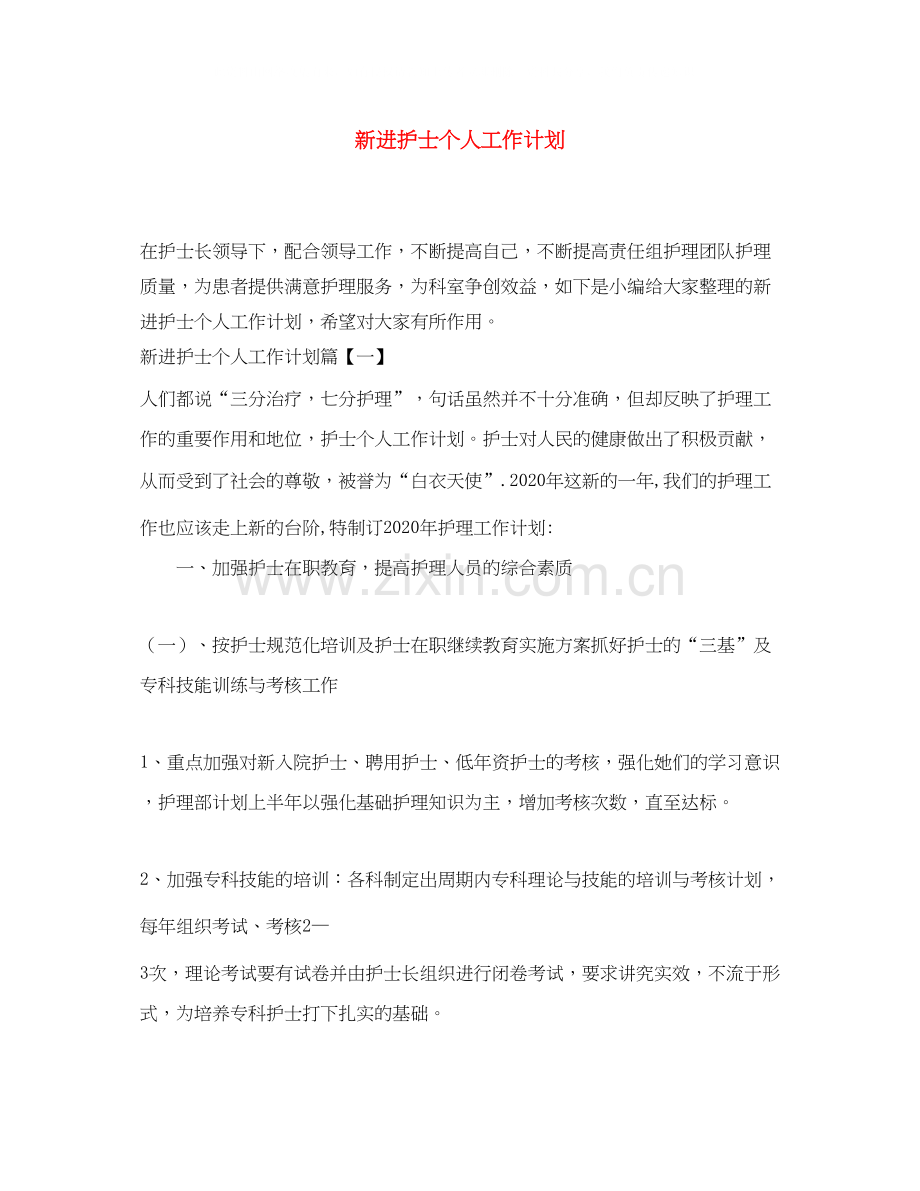 新进护士个人工作计划.docx_第1页